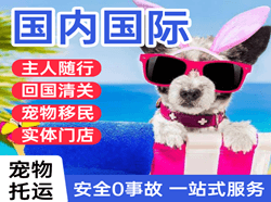 海西德令哈机场货运国际宠物托运 【国